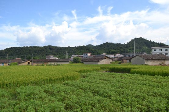 图2.田园风光.jpg