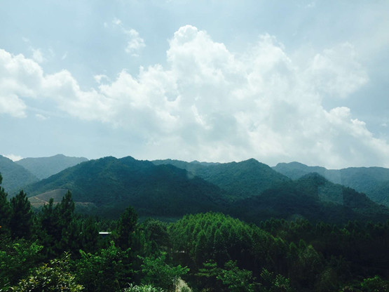 03.JPG