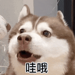 说明: D:\我的文档\Documents\WeChat Files\wxid_639zwjrlceod21\FileStorage\Temp\dd71b131e927c100ed629cb67a4499ec.jpg