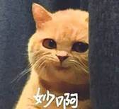 说明: D:\我的文档\Documents\WeChat Files\wxid_639zwjrlceod21\FileStorage\Temp\f6d927b8a0e97137da1aad7414e5c2db.jpg